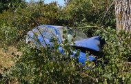 Accident grav în Argeș: mașină intrată într-un copac. O persoană a fost preluată de ambulanță