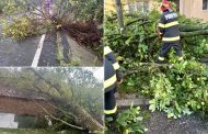 Furtunile au făcut ravagii în Argeș! Copaci căzuți peste o anexă și mai multe drumuri blocate