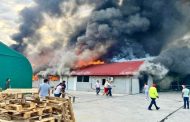 Ultima oră! Incendiu pe A1 Pitești–București, la un operator economic