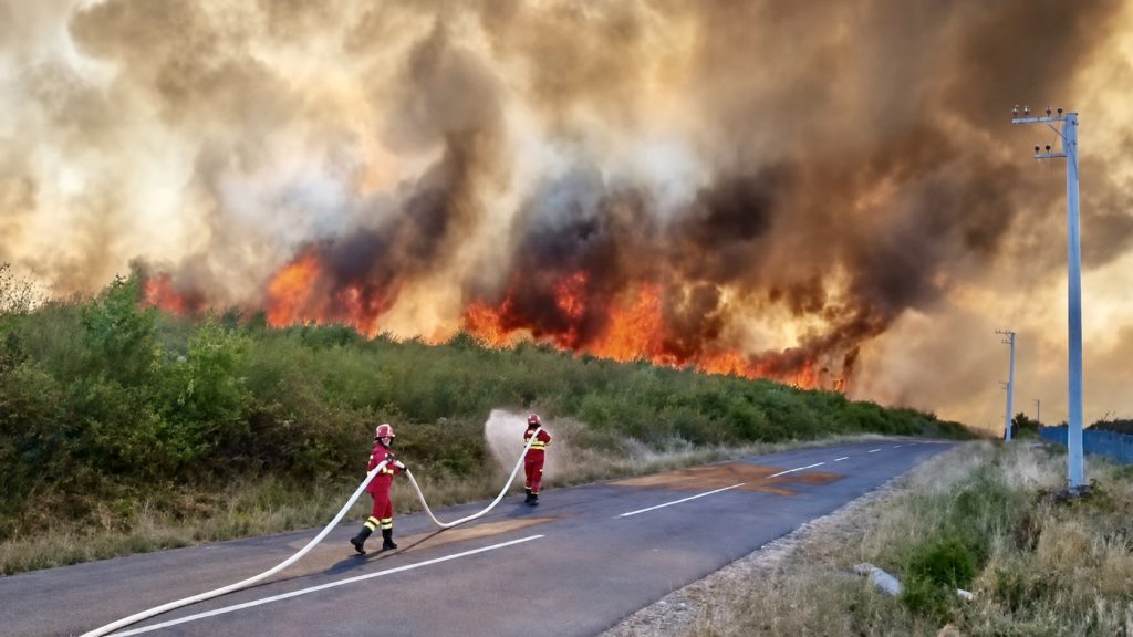 Incendiu-de-vegetație- – Ziarul Argeşul - ediţia online