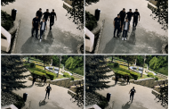 Scandal în miez de noapte într-un parc din Pitești! Tineri imobilizați de polițiștii locali
