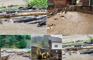 S-a rupt cerul în Argeș! Gospodării și străzi inundate, mașini luate de viitură, copaci căzuți