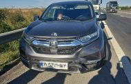 Accident neobișnuit pe A1. Un autoturism a lovit un porc