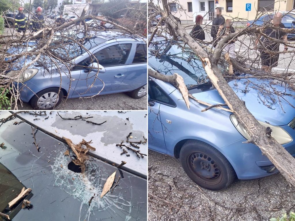Arbore-căzut-autoturism- – Ziarul Argeşul - ediţia online