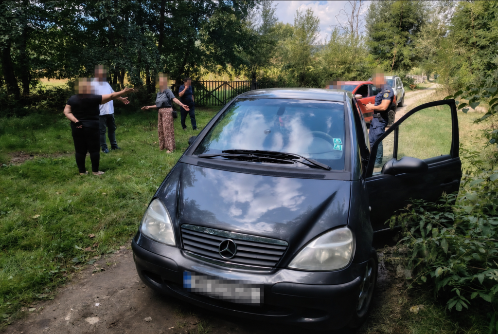 Câini-abandonați-Vlădești-Argeș- – Ziarul Argeşul - ediţia online