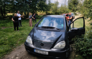 Patru persoane, identificate după ce au abandonat șase câini în Vlădești. Primarul: „Comuna nu este adăpost de câini”