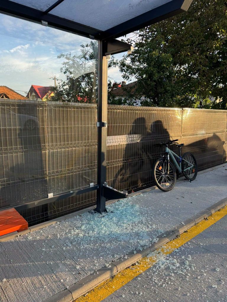 Vandalism-Mioveni- – Ziarul Argeşul - ediţia online