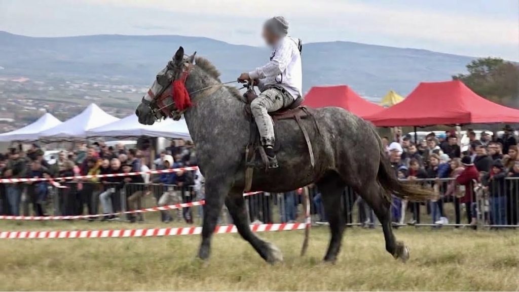 concurs-cabaline-Micești- – Ziarul Argeşul - ediţia online