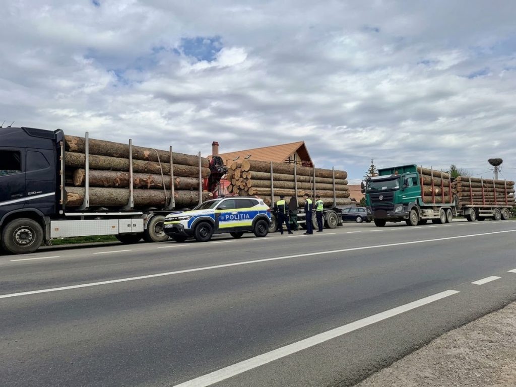 controale-transportatori-lemne- – Ziarul Argeşul - ediţia online