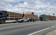 Nereguli la transporturile de lemne în Argeș. Polițiștii au dat sancțiuni și au confiscat lemne