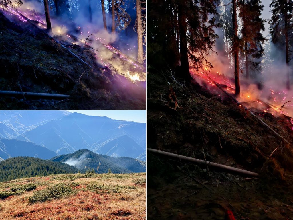 Incendiu-nucșoara- – Ziarul Argeşul - ediţia online