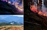 Incendiu în fondul forestier din Nucșoara! Pompierii intervin pe muntele Drăghina